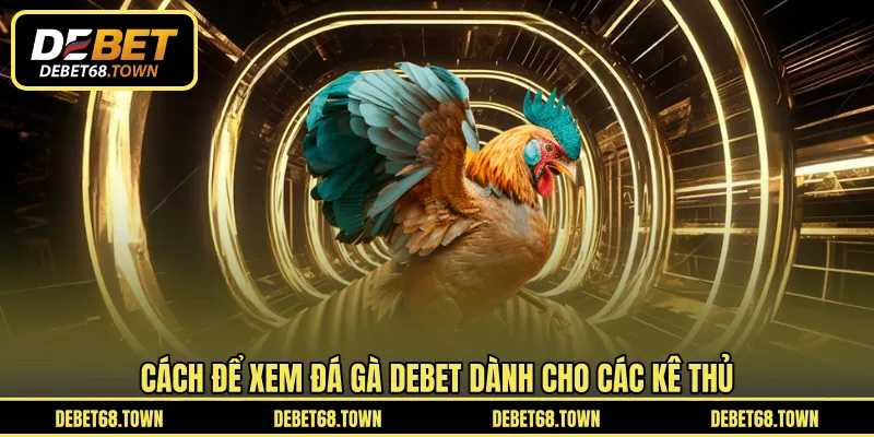 Cách để xem đá gà DEBET dành cho các kê thủ