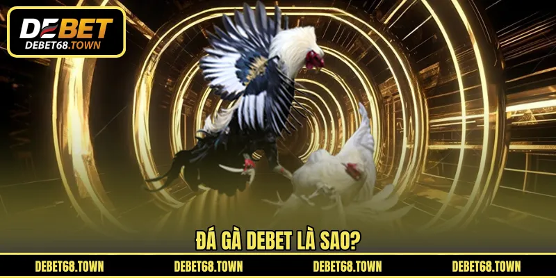 Đá gà DEBET là sao?